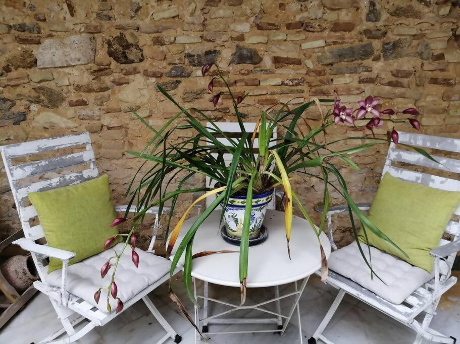 Apartamento El Sosiego Sanlúcar de Barrameda Buitenkant foto