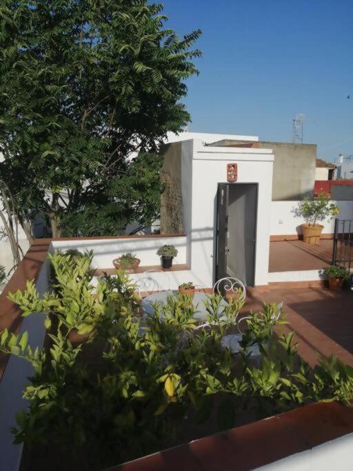 Apartamento El Sosiego Sanlúcar de Barrameda Buitenkant foto