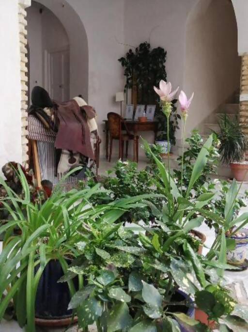 Apartamento El Sosiego Sanlúcar de Barrameda Buitenkant foto