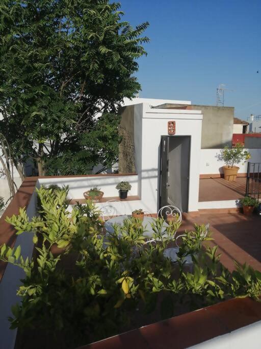 Apartamento El Sosiego Sanlúcar de Barrameda Buitenkant foto